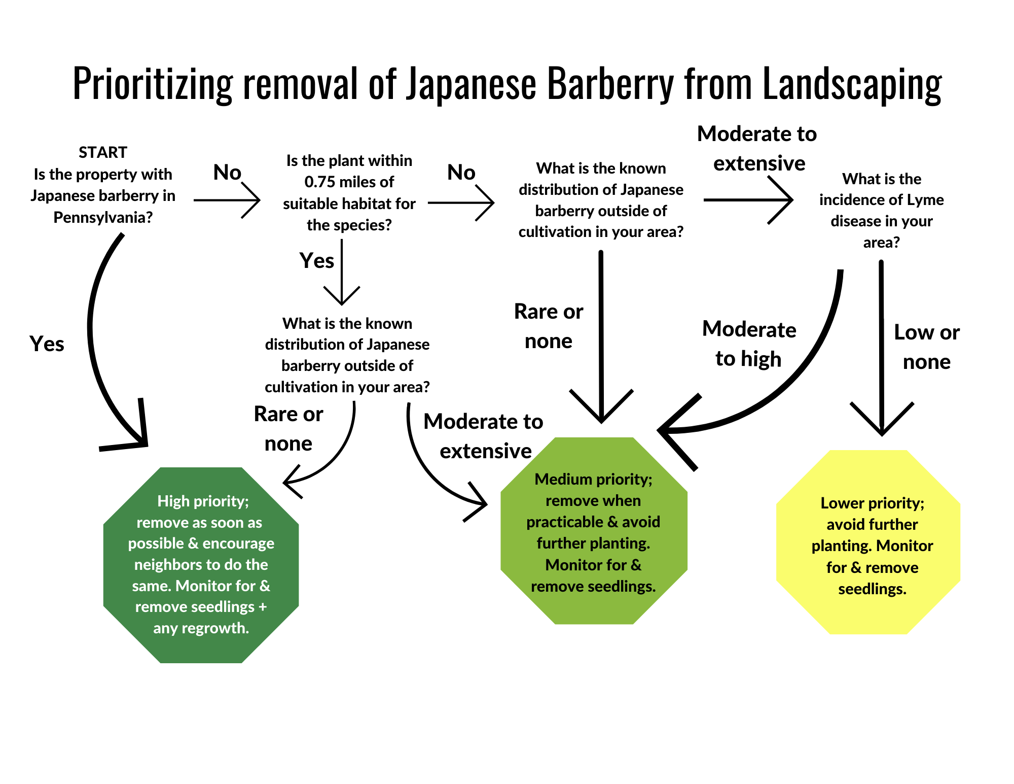 removal decision tree for Japanese barberry