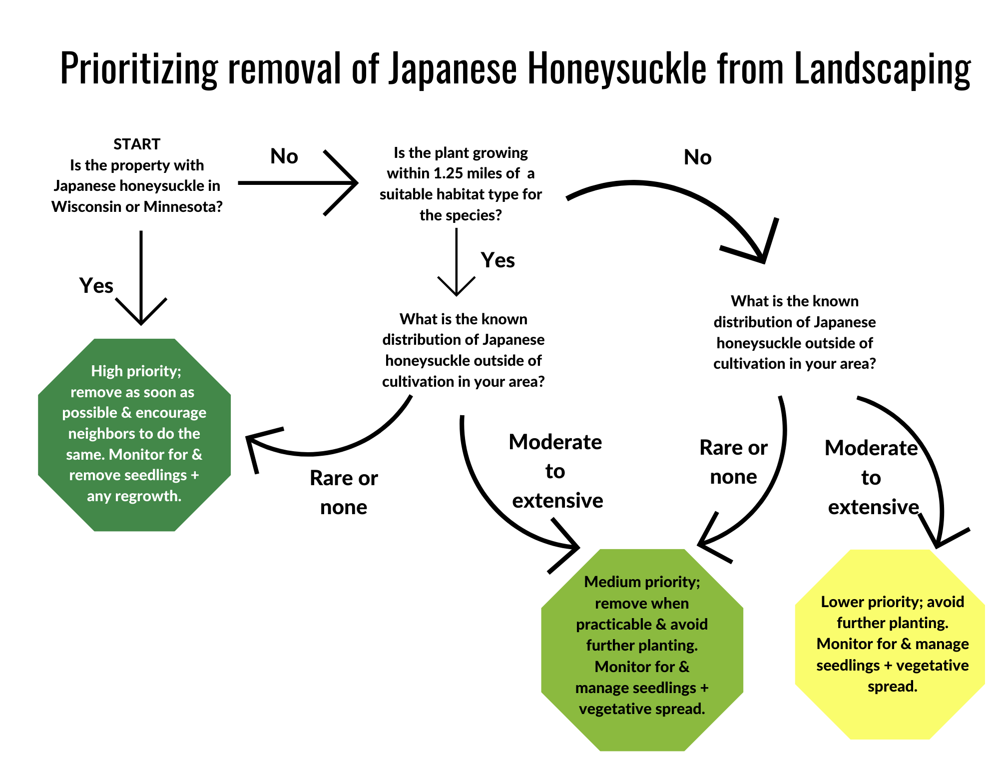 removal decision tree for Japanese honeysuckle