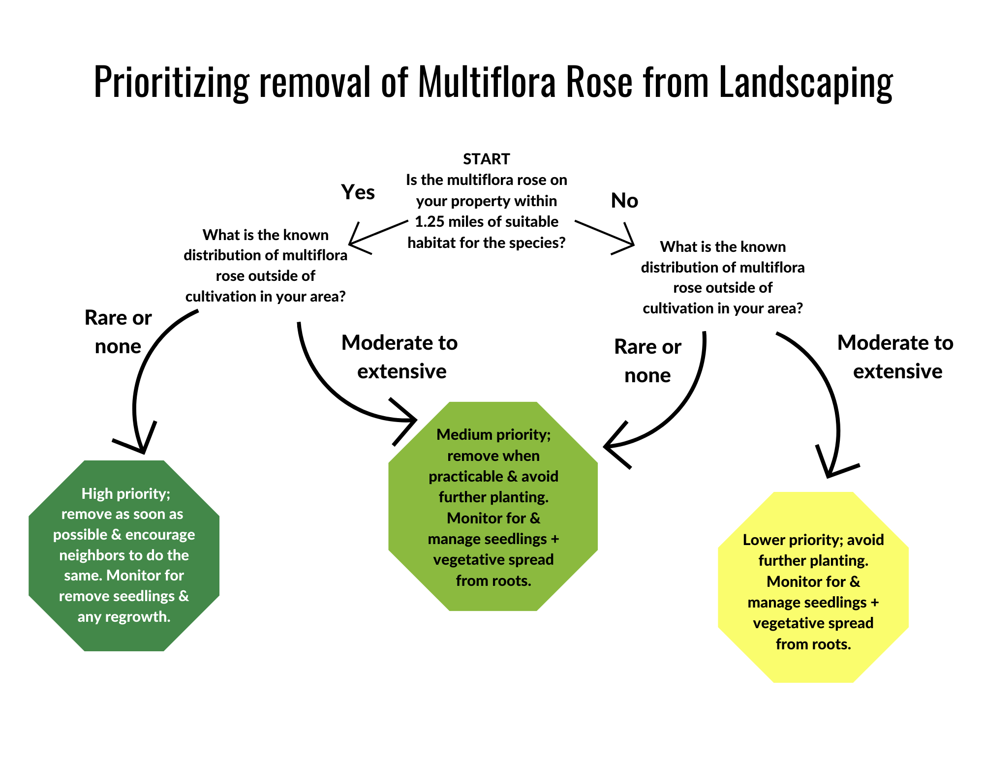 removal decision tree for multiflora rose