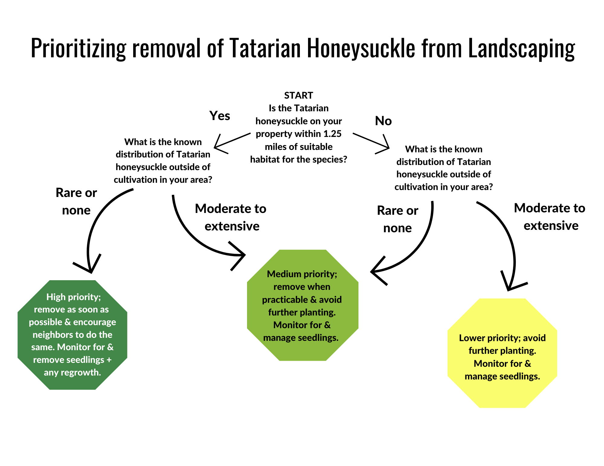 removal decision tree for Tatarian honeysuckle