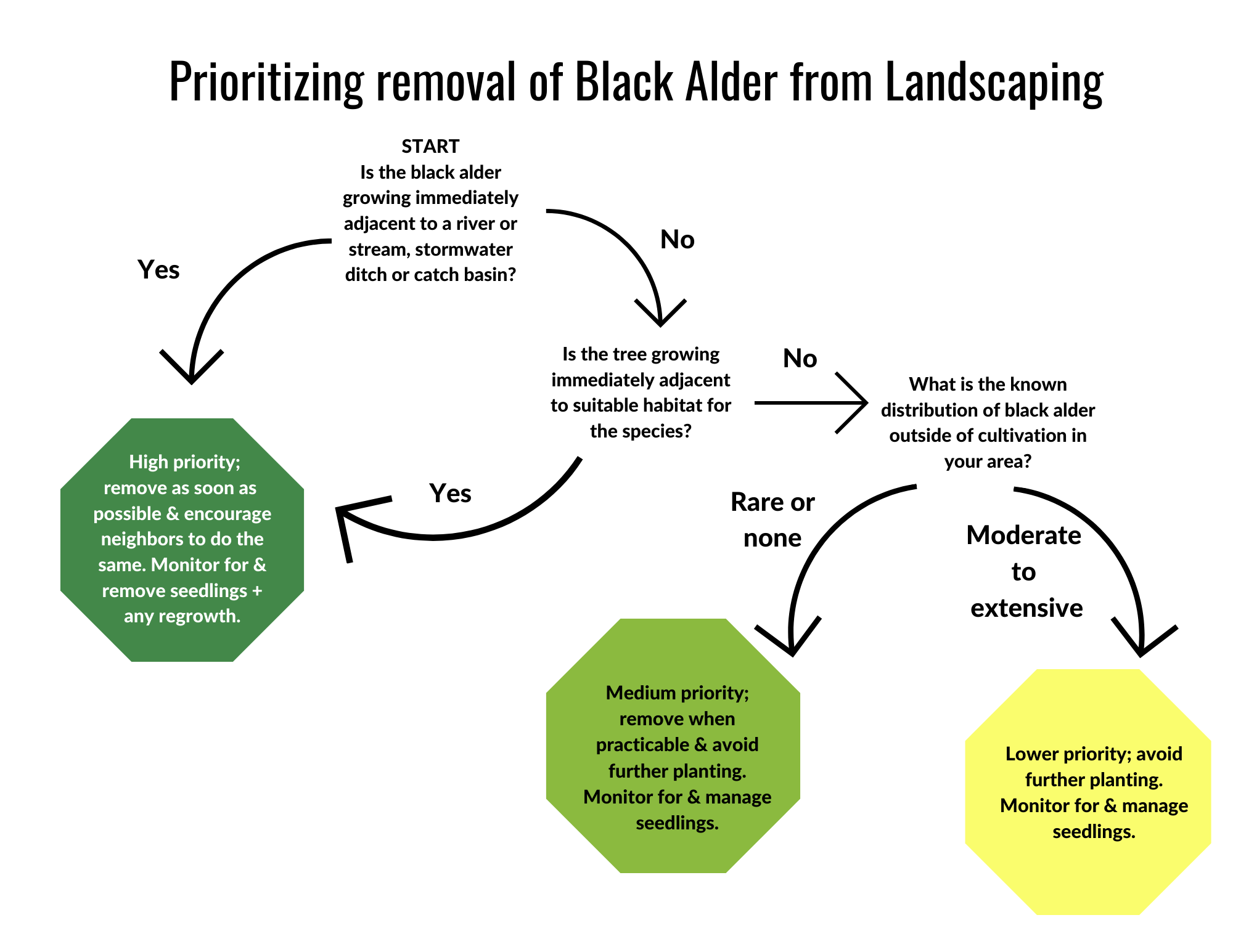 black alder decision tree
